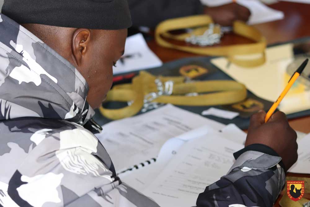 Handler-Training-International-05