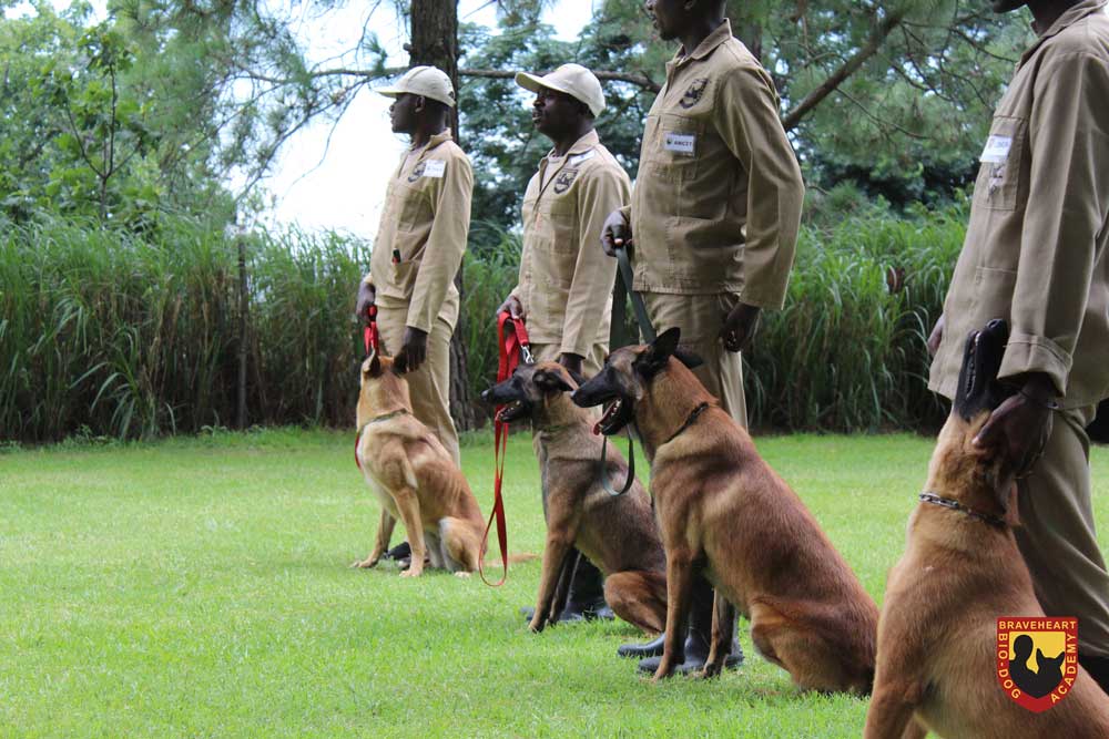 Handler-Training-International-Studente_Burundi_Gehoorsaamheid