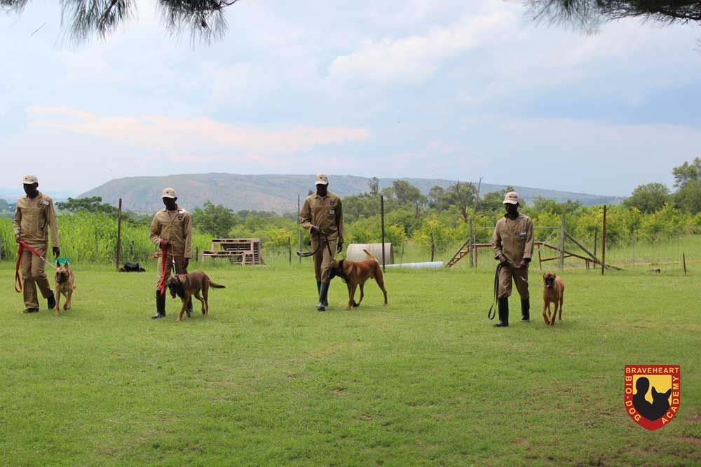Handler-Training-International-Studente_Burundi_Plek-Stap