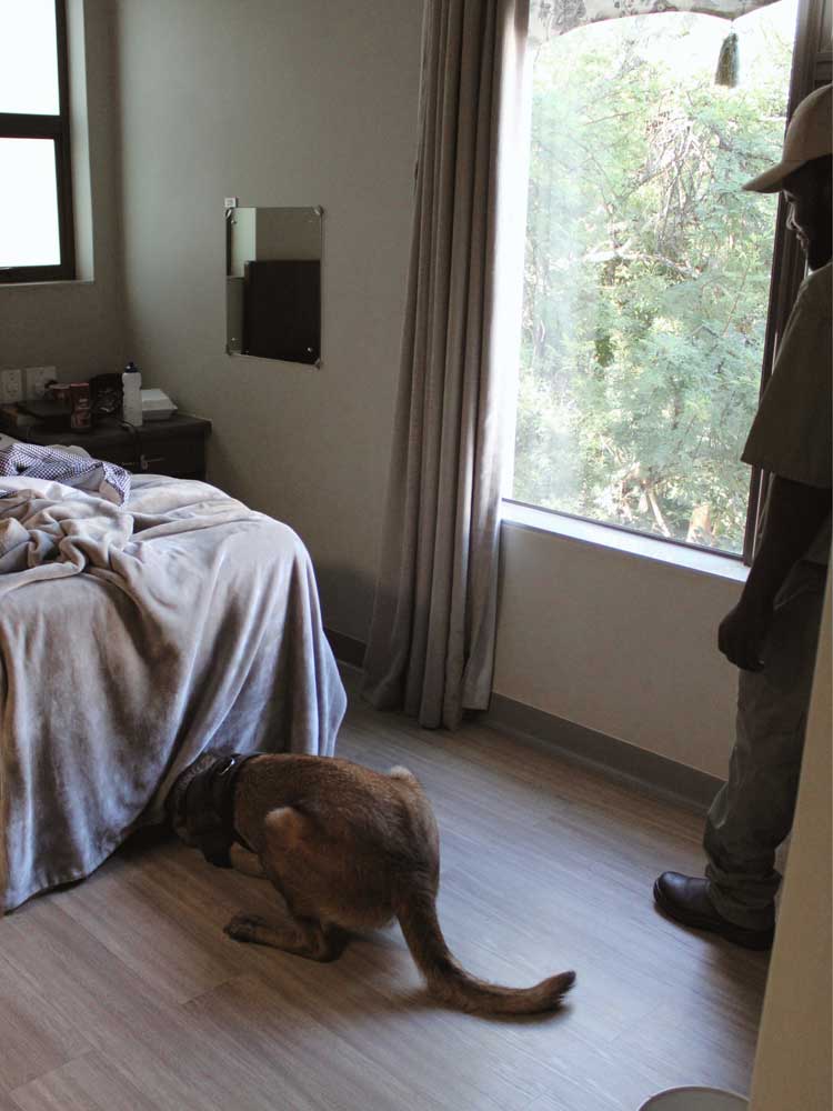 K9-Narcotics-and-Handler-Sweeps-03