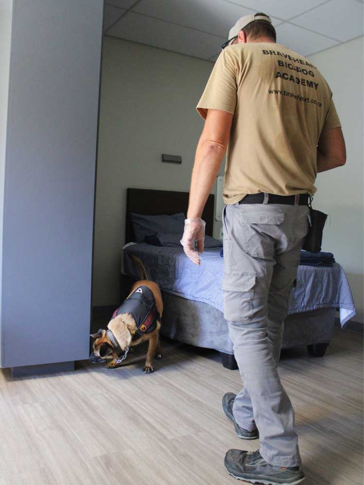 K9-Narcotics-and-Handler-Sweeps-04