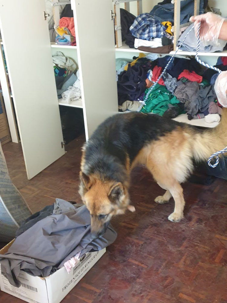 K9-Narcotics-and-Handler-Sweeps-06