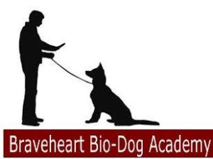 Obedience Dog-K9 Canine Training