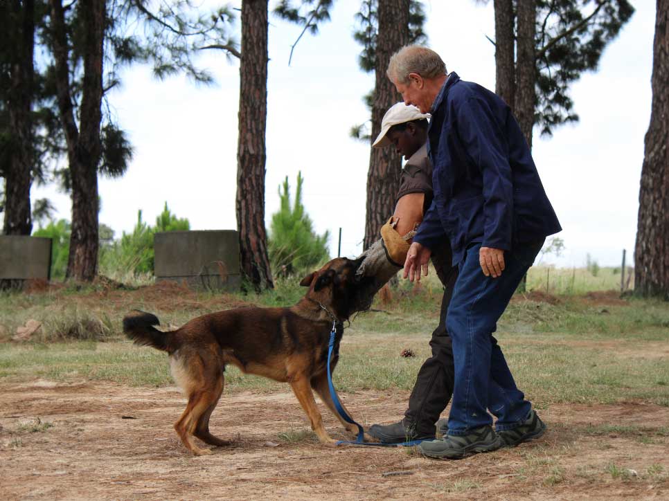 PSIRA-Registration---02