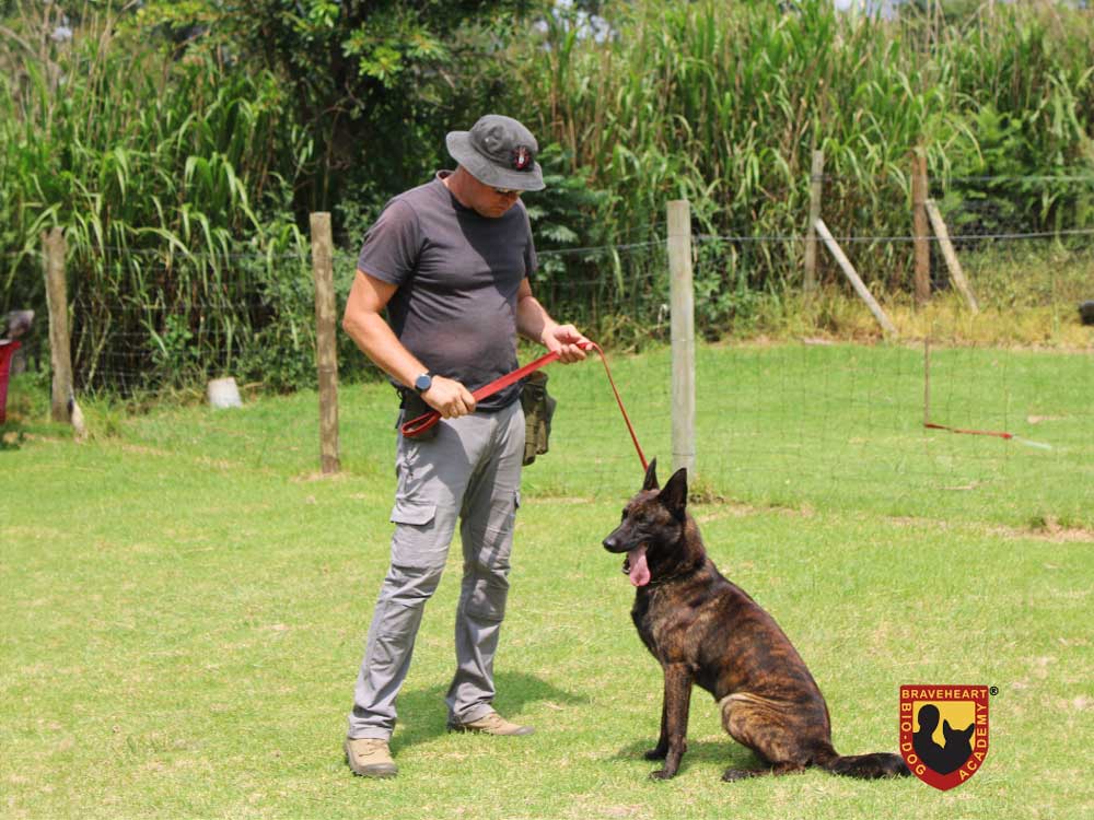 PSIRA-Registration03