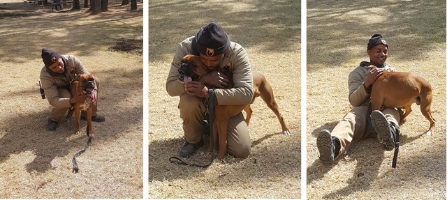 Personal Protection Family Dog