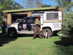 Dog Trainer at Braveheart