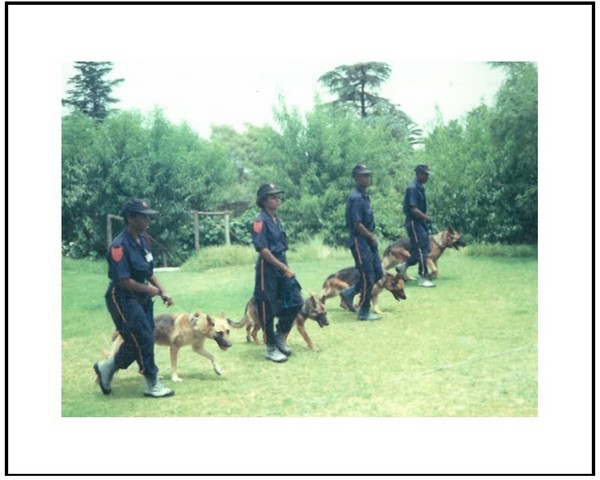 K9 Dog Handler Teams