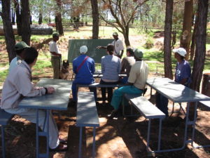 Dog Handler Training