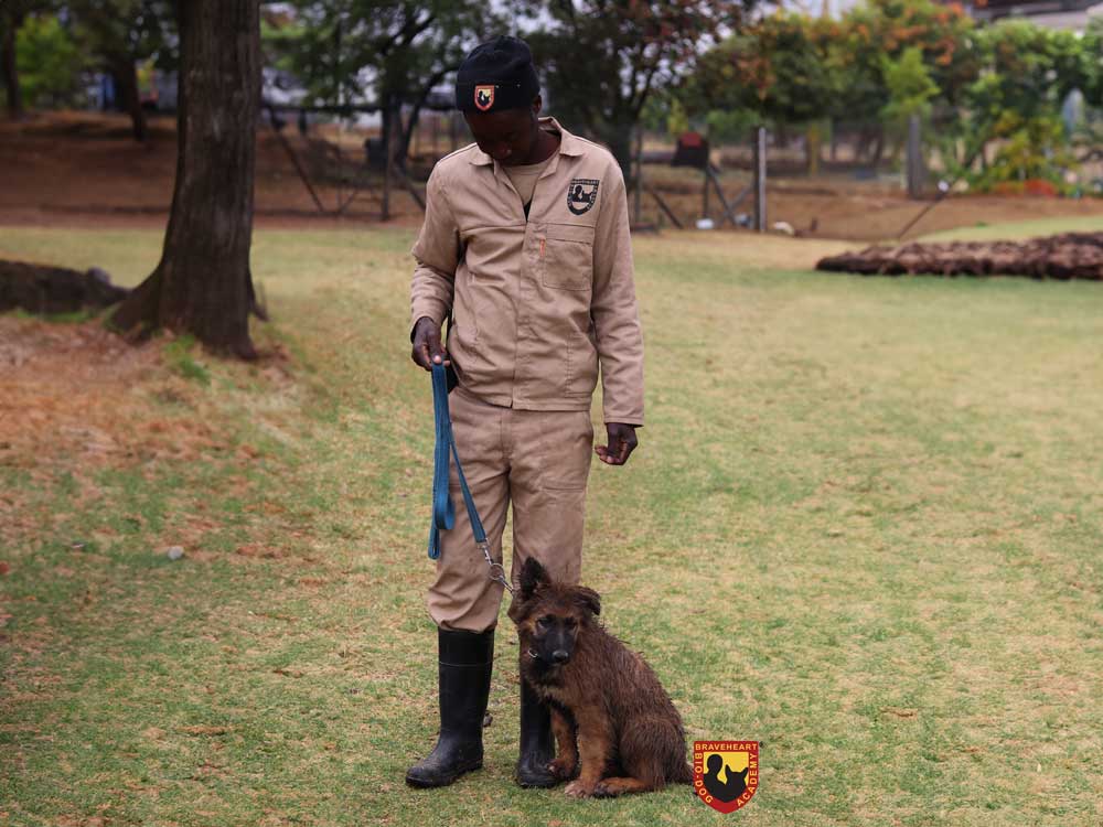 Puppy-Training-Socialization-05