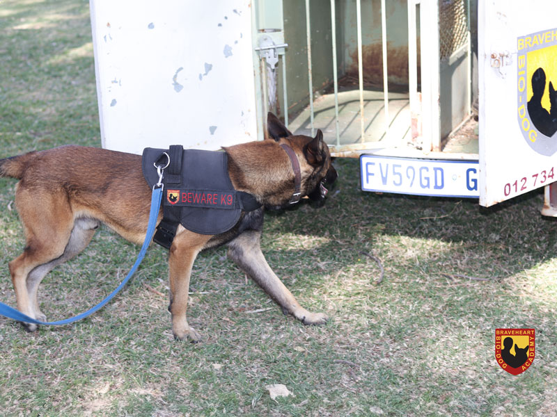 Research-on-Narcotics-(Drugs)-Detection-Dog-Training-02