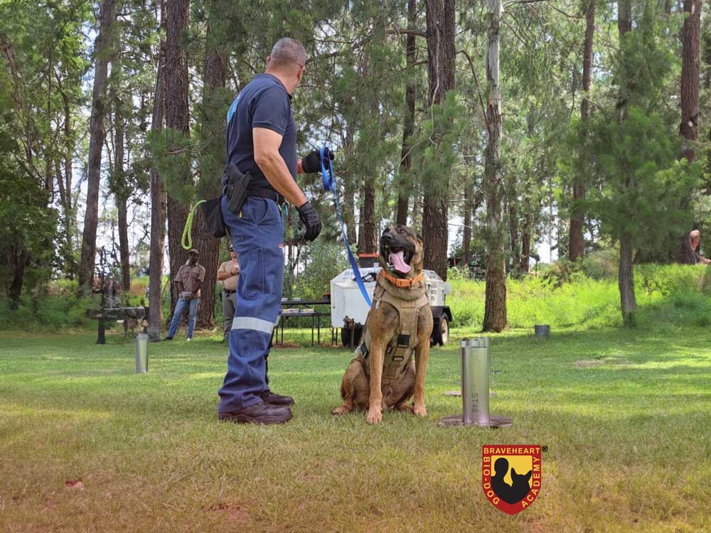 Tracker-Dog---Anti-Poaching-Dog-K9-(Canine)-03