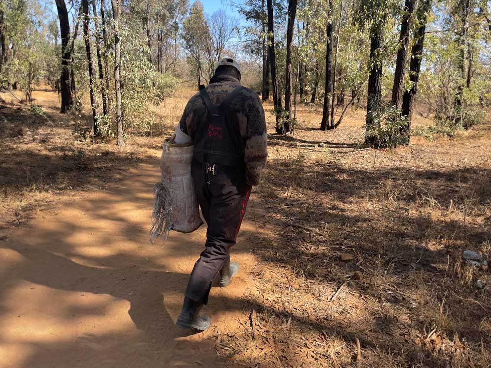 Tracker-Dog---Anti-Poaching-Dog-K9-(Canine)